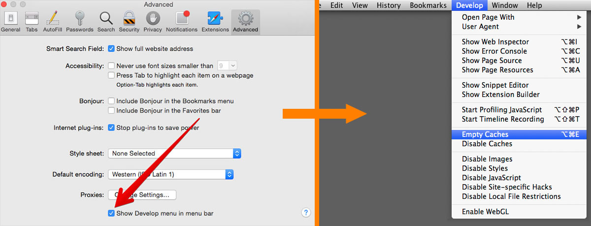 Safari develop menu